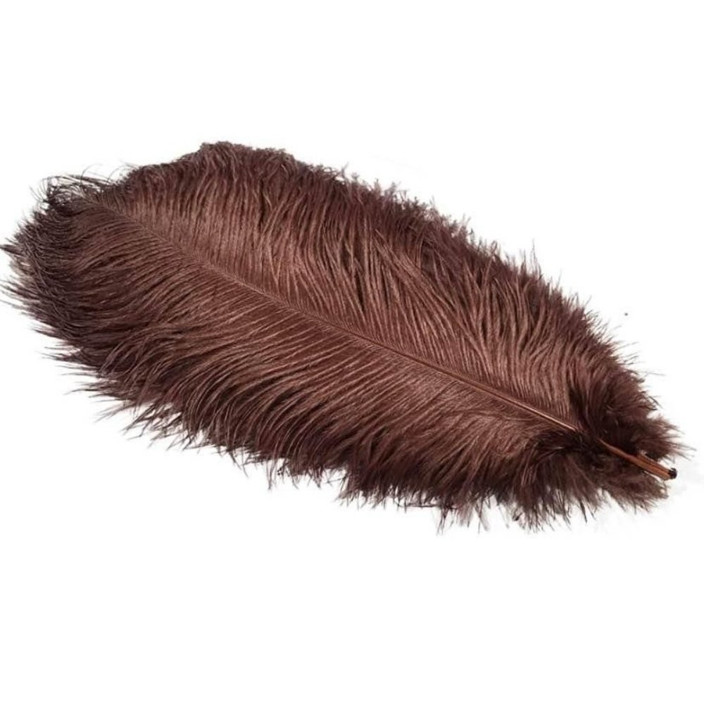 10 pack | Brown Feathers Size 12-14 inch for Wedding Party Centerpiece decor